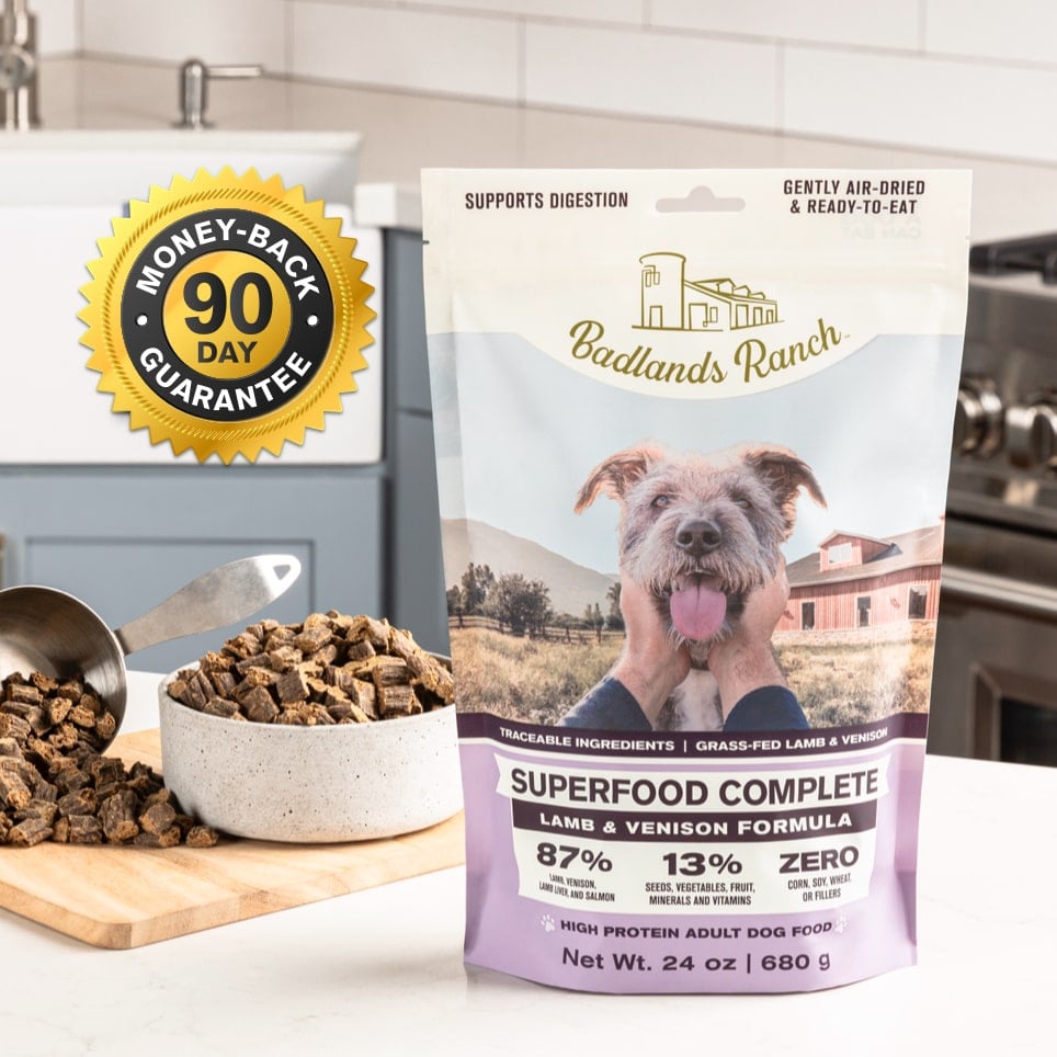 ドッグフード maitan Lamb & Brown Rice Pâté - Wet Dog Food - 12 Count | Kahoots Pet