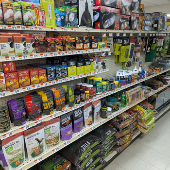 In store photo