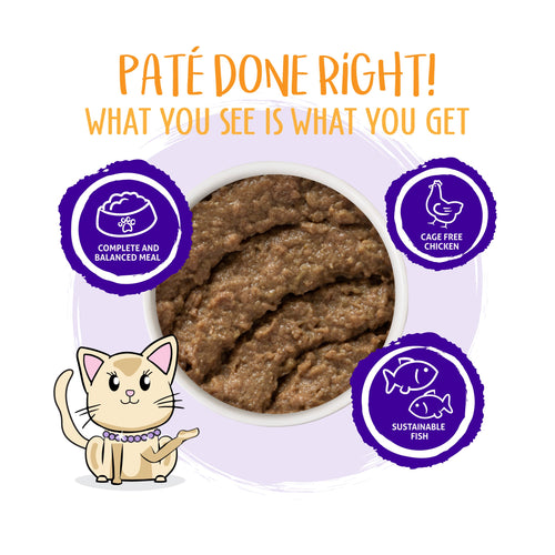 Weruva Classic Cat Paté, Meal or No Deal! with Chicken & Beef (3-oz, Single)