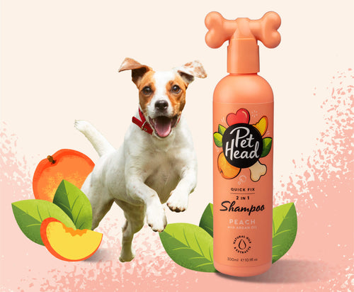 Pet Head Quick Fix Shampoo & Conditioner In One (16 oz)