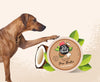 Pet Head Coconut Paw Butter for Dogs (1.4 oz)