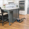 PetSafe Six Meal Feeder