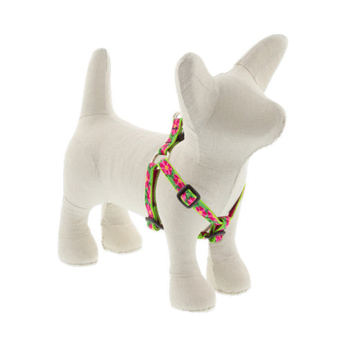Lupine Pet Original Designs Dog Collar