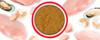 Weruva Cat Person  Bone & Joint Supplement Chicken & Shrimp Recipe in Gravy