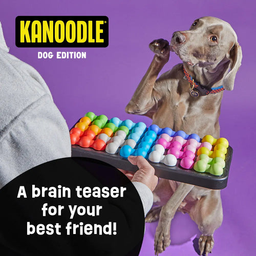 Brightkins Kanoodle Dog Edition - Large