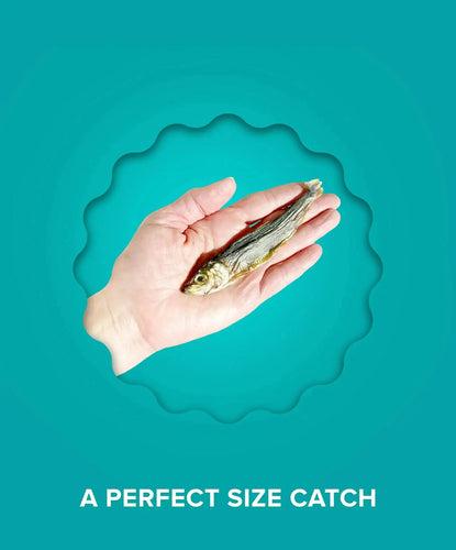 Platos Pet Treats Premium Wild Caught Baltic Herring Dog Treats