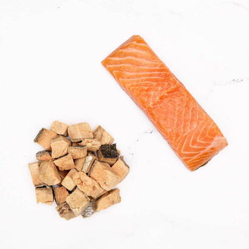 Badlands Ranch Freeze-Dried Raw Superfood Bites Salmon Treats Dog Food (4 oz)