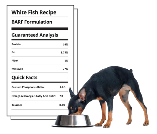 Steve's Real Food Frozen Raw Dog Food White Fish Recipe