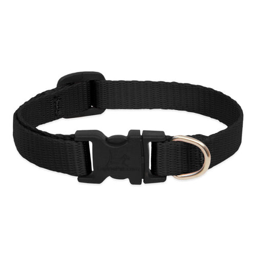 Lupine Pet Basic Solids Dog Collar