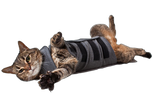 Thundershirt Gray Polo for Cats