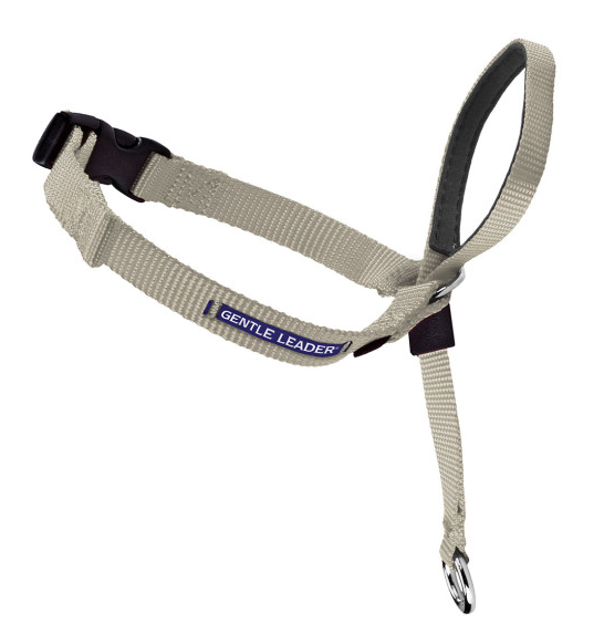 Petsafe Gentle Leader Quick Release Fawn Headcollar for Dogs Large 60 130 lbs Ann Arbor MI Huron Pet Supply