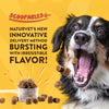 NaturVet Scoopables Advanced Probiotics & Enzymes