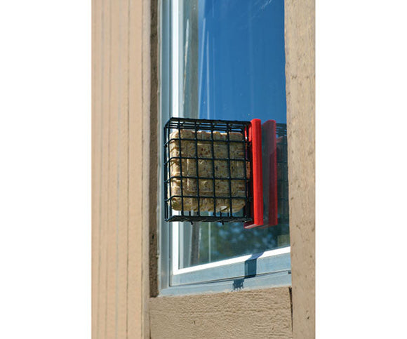 Songbird Essentials Red Suet Window Feeder