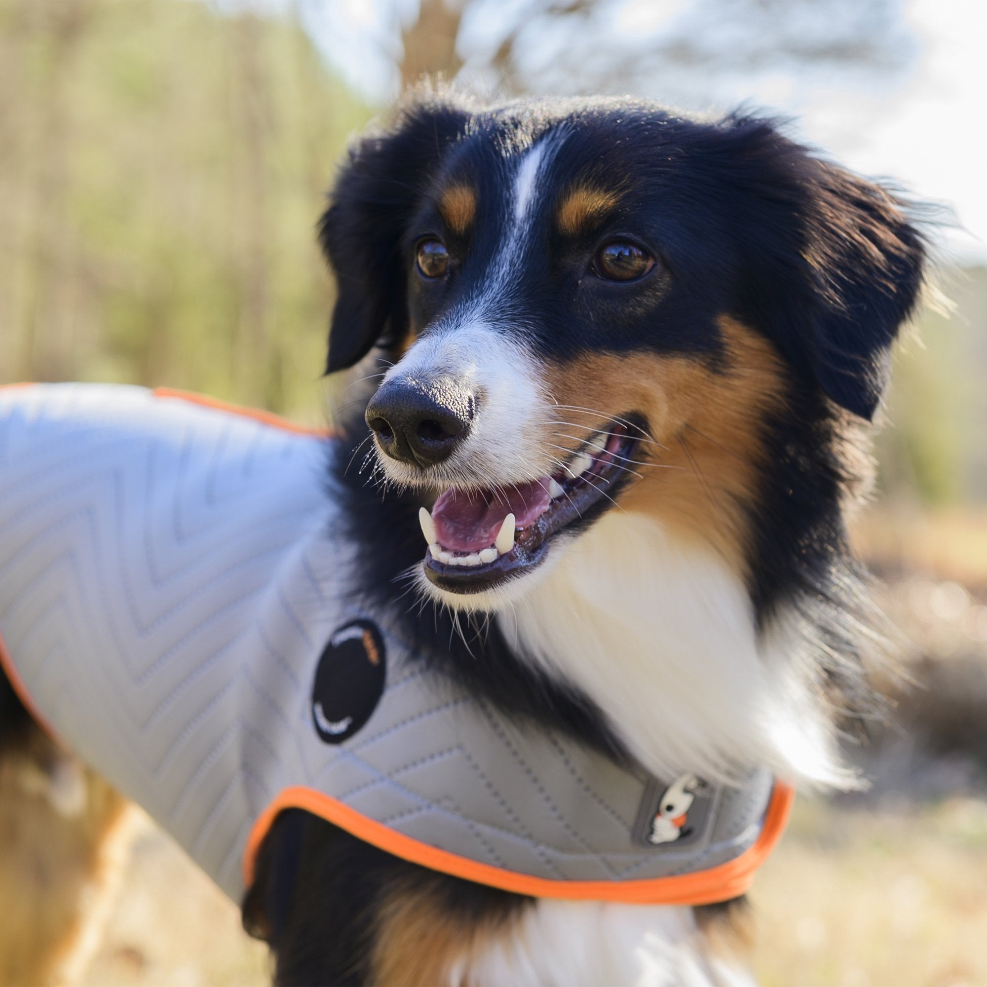 Thundershirt australia deals