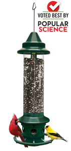 Brome Squirrel Buster Plus
